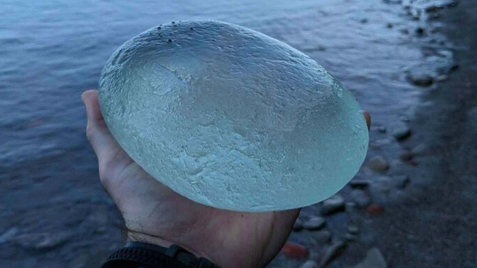 18 Times People Went To The Beach And Found Something They Least Expected