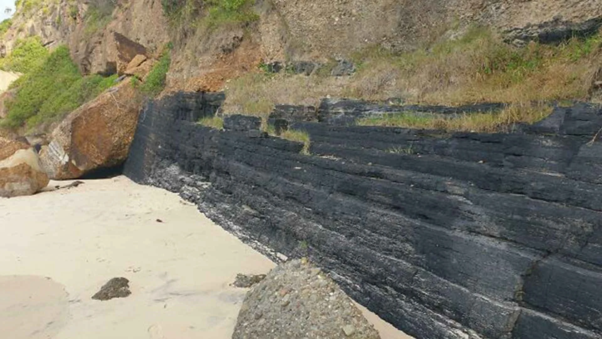 18 Times People Went To The Beach And Found Something They Least Expected