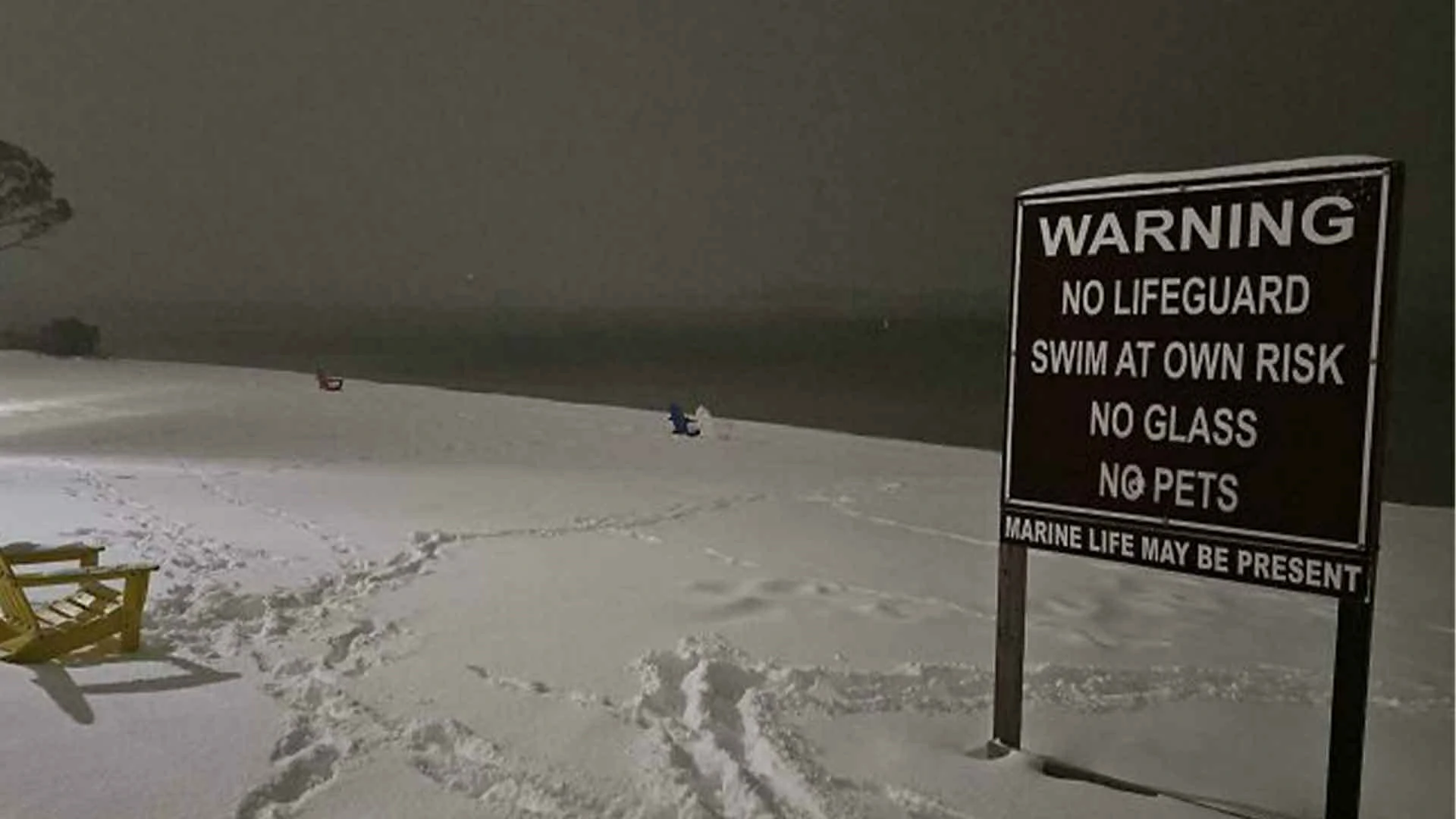 18 Times People Went To The Beach And Found Something They Least Expected
