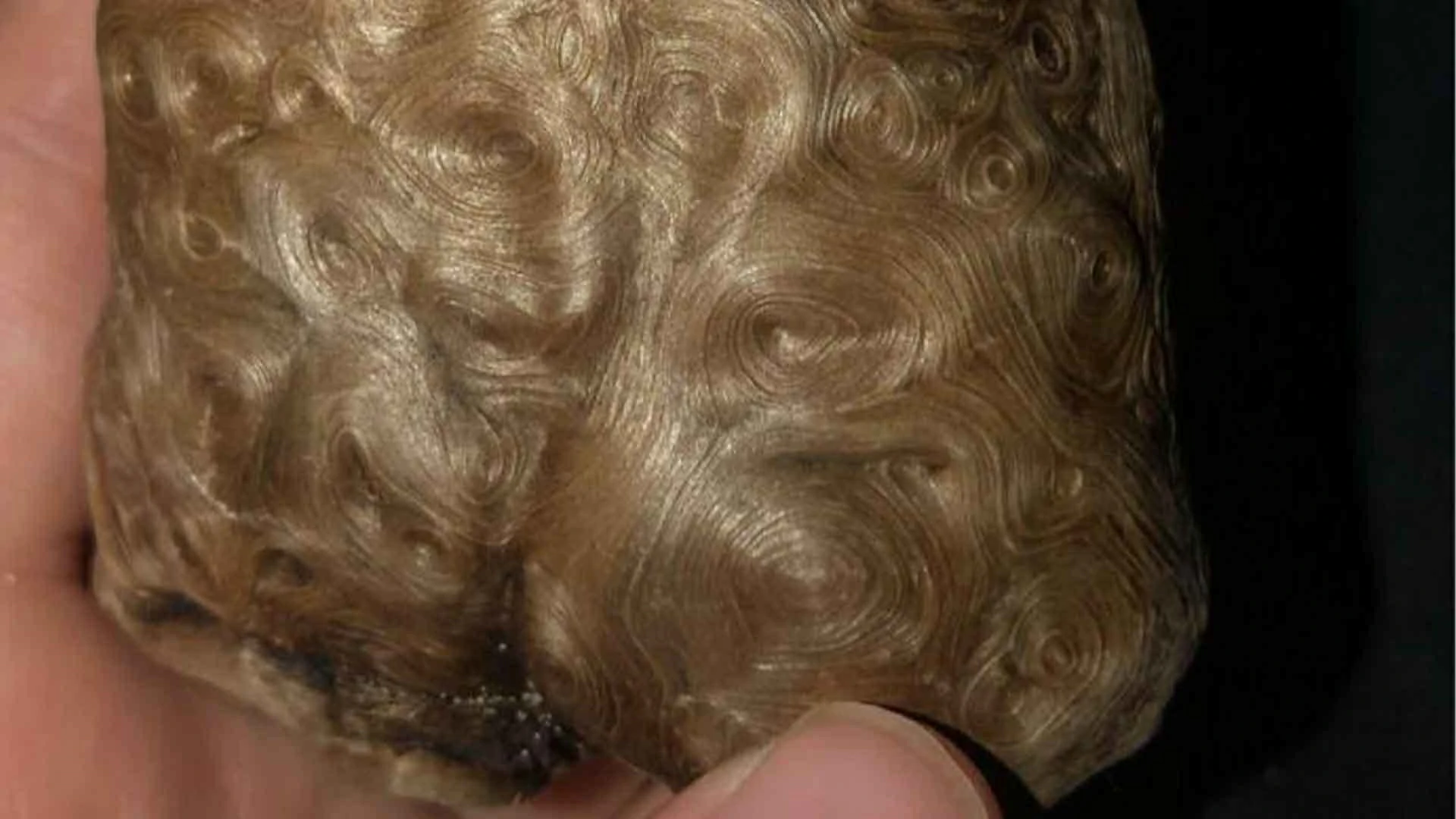 18 Times People Went To The Beach And Found Something They Least Expected