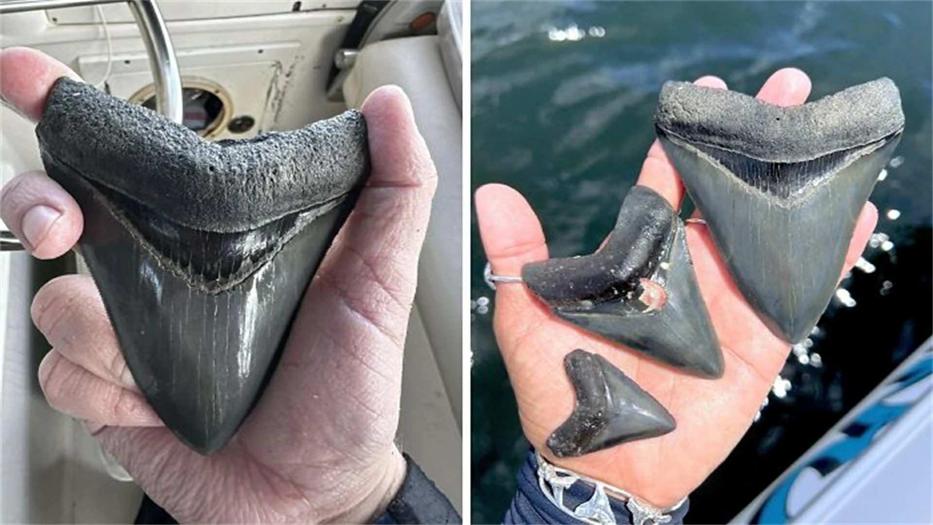 18 Times People Went To The Beach And Found Something They Least Expected