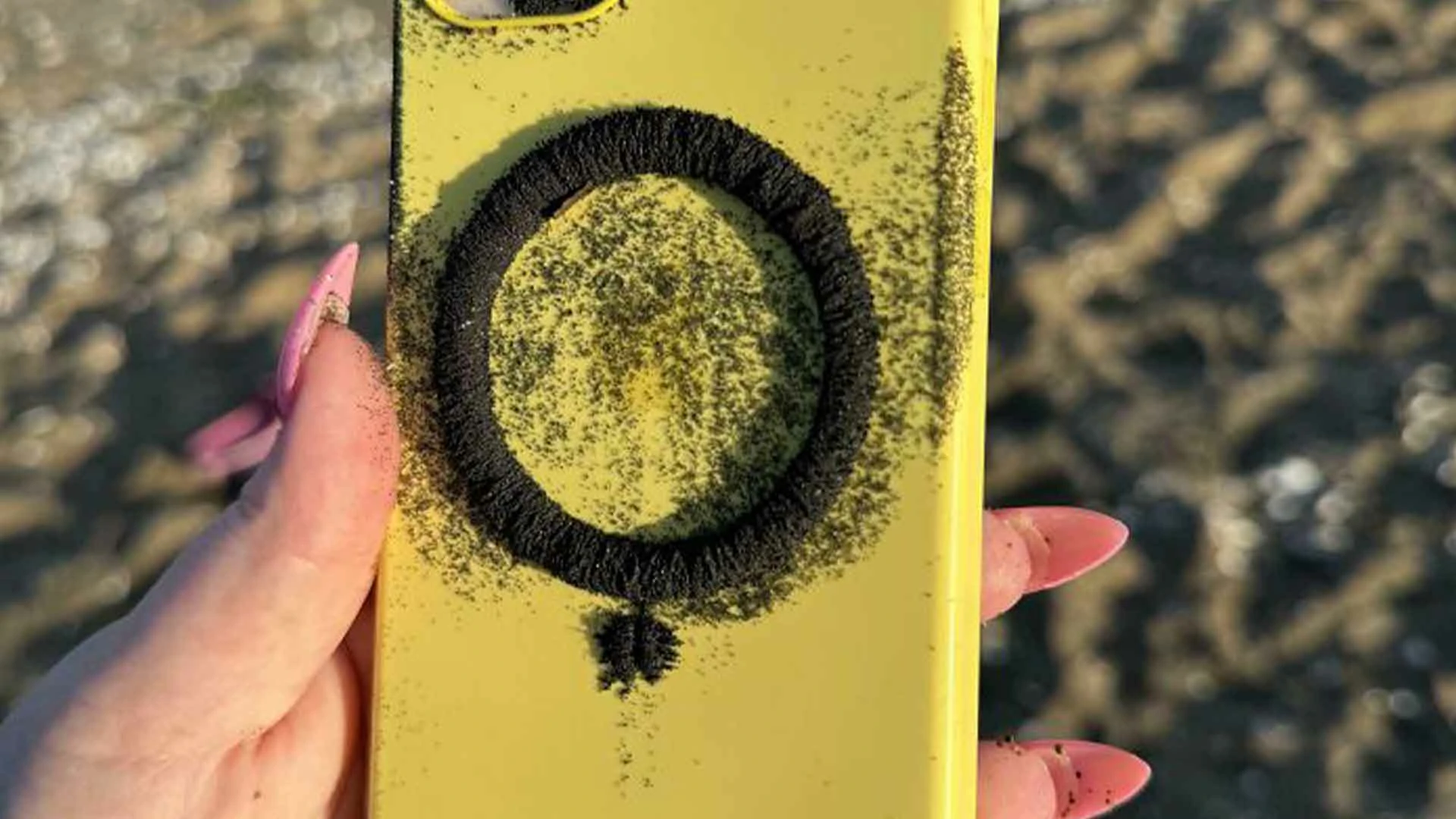 20 Beach Finds That Made People Question Reality