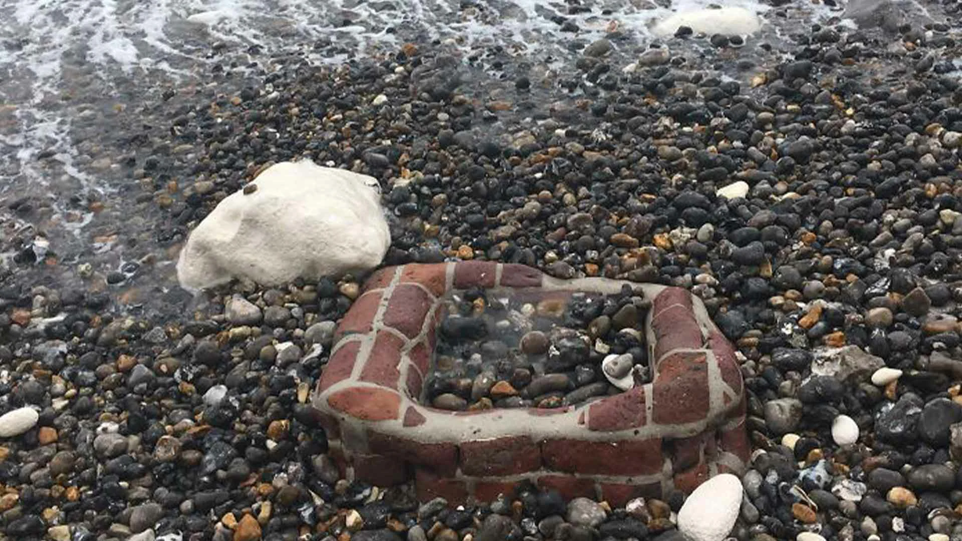20 Beach Finds That Made People Question Reality