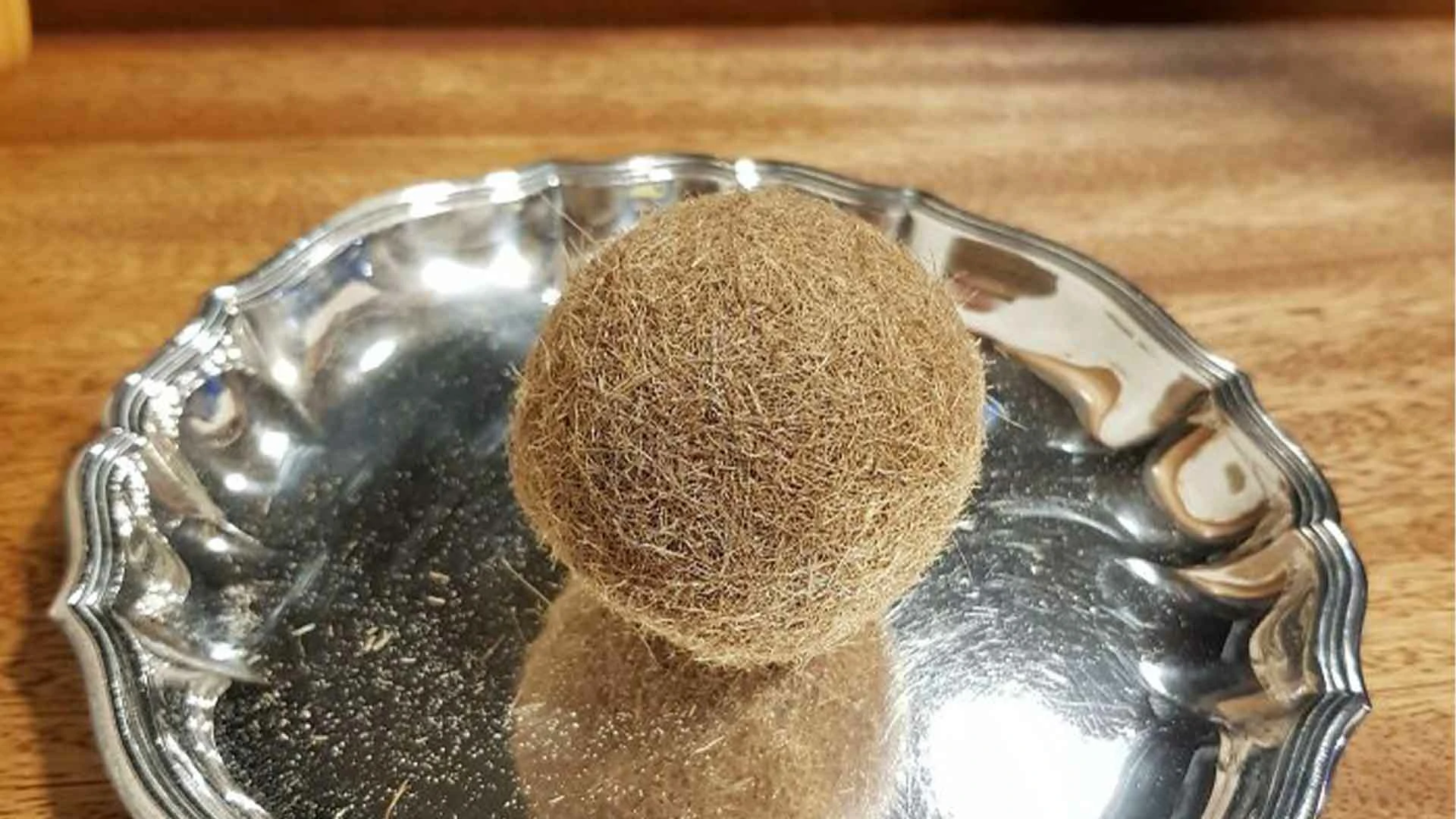 20 Beach Finds That Made People Question Reality