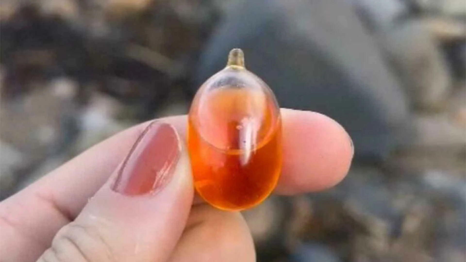 20 Beach Finds That Made People Question Reality