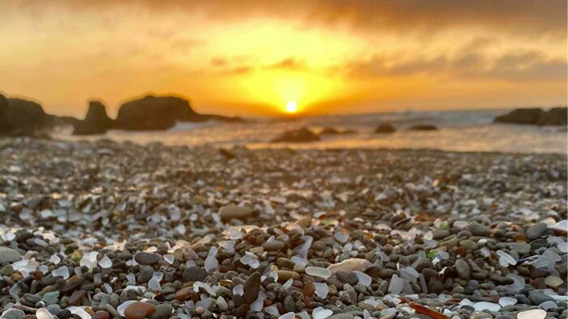 20 Beach Finds That Made People Question Reality