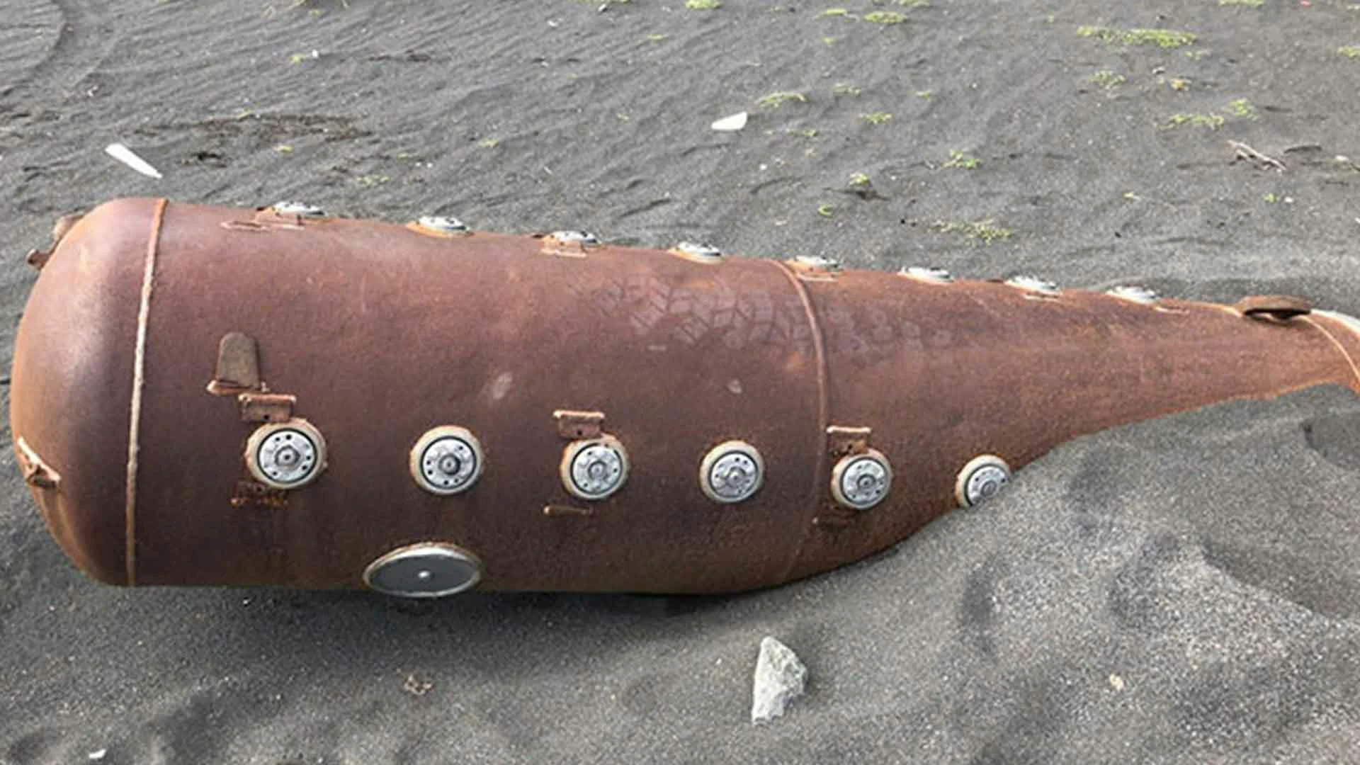 20 Beach Finds That Made People Question Reality