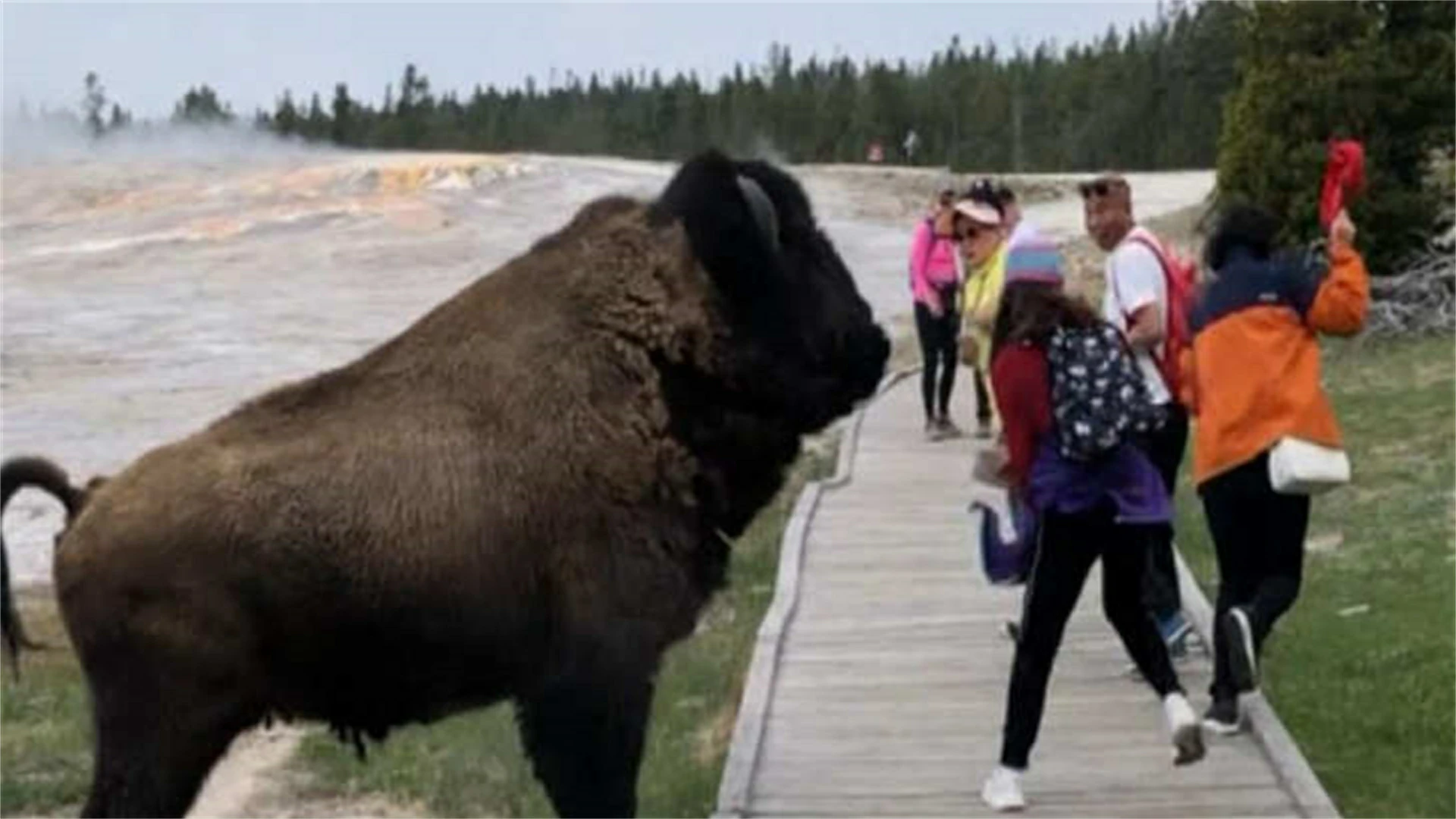 20 Deadly Tourist Mistakes That Can Kill You Fast – From Locals Worldwide