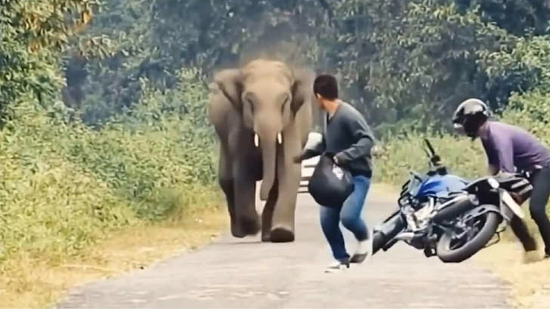 20 Deadly Tourist Mistakes That Can Kill You Fast – From Locals Worldwide