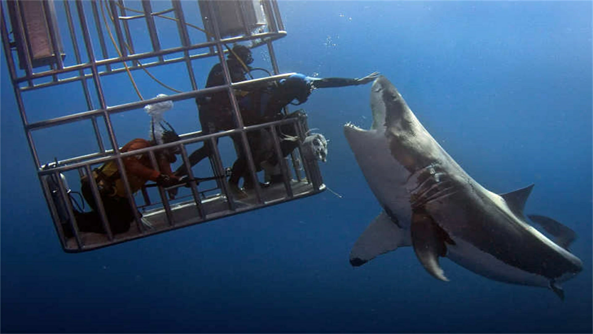 20 Deadly Tourist Mistakes That Can Kill You Fast – From Locals Worldwide