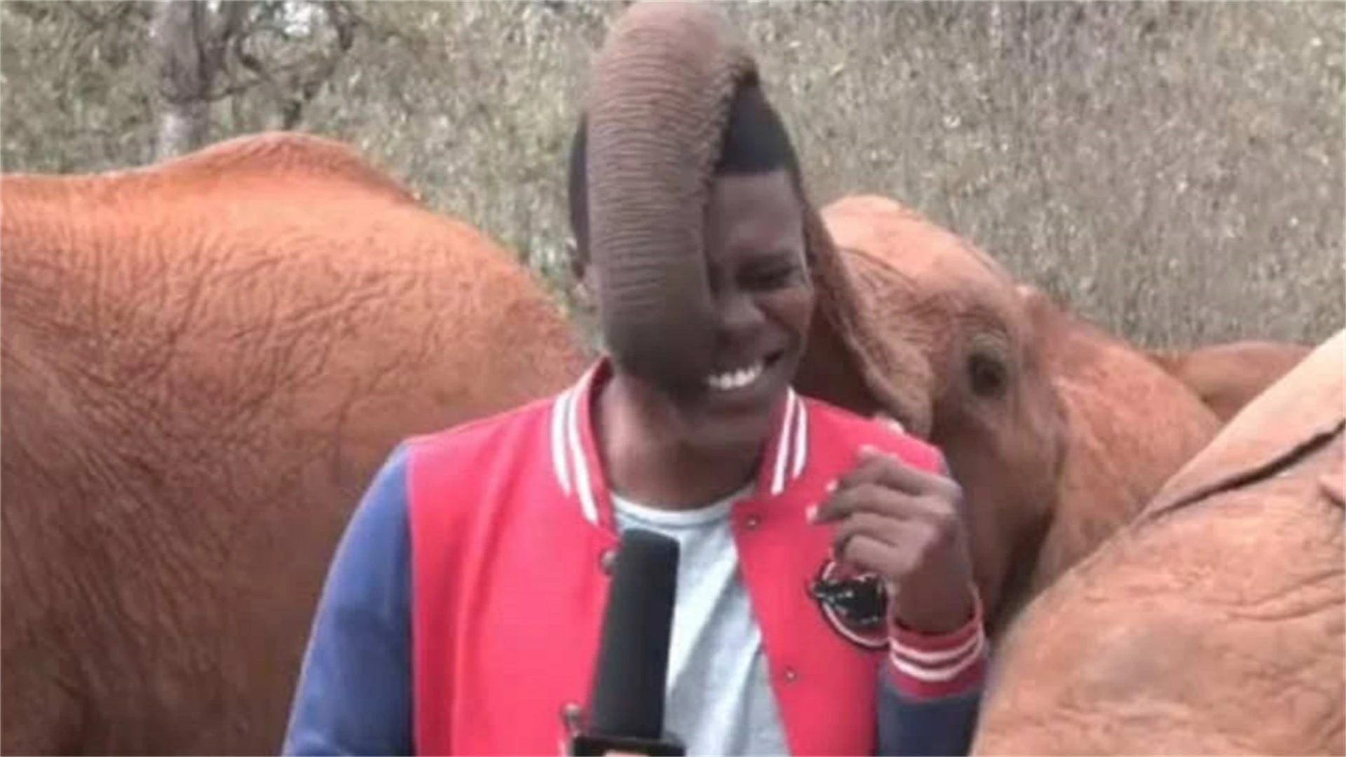 20 Deadly Tourist Mistakes That Can Kill You Fast – From Locals Worldwide