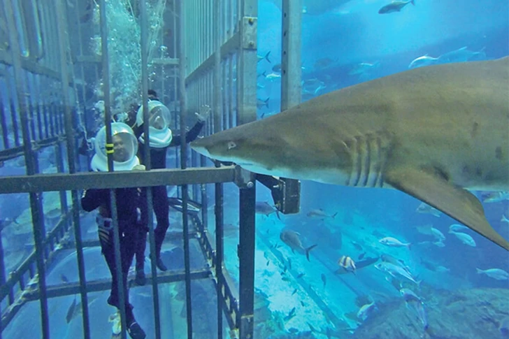 29 schamlose Fotos von Dubai, die Sie in Erstaunen versetzen werden