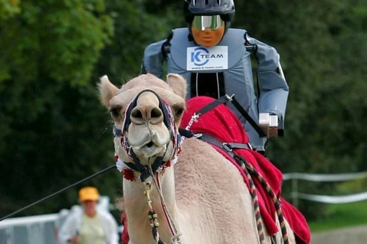 29 schamlose Fotos von Dubai, die Sie in Erstaunen versetzen werden