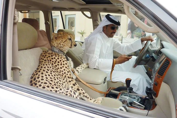 29 schamlose Fotos von Dubai, die Sie in Erstaunen versetzen werden