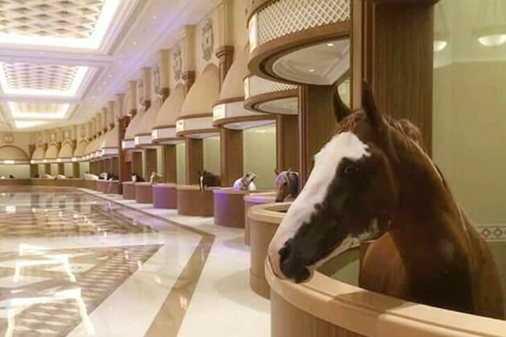 29 schamlose Fotos von Dubai, die Sie in Erstaunen versetzen werden