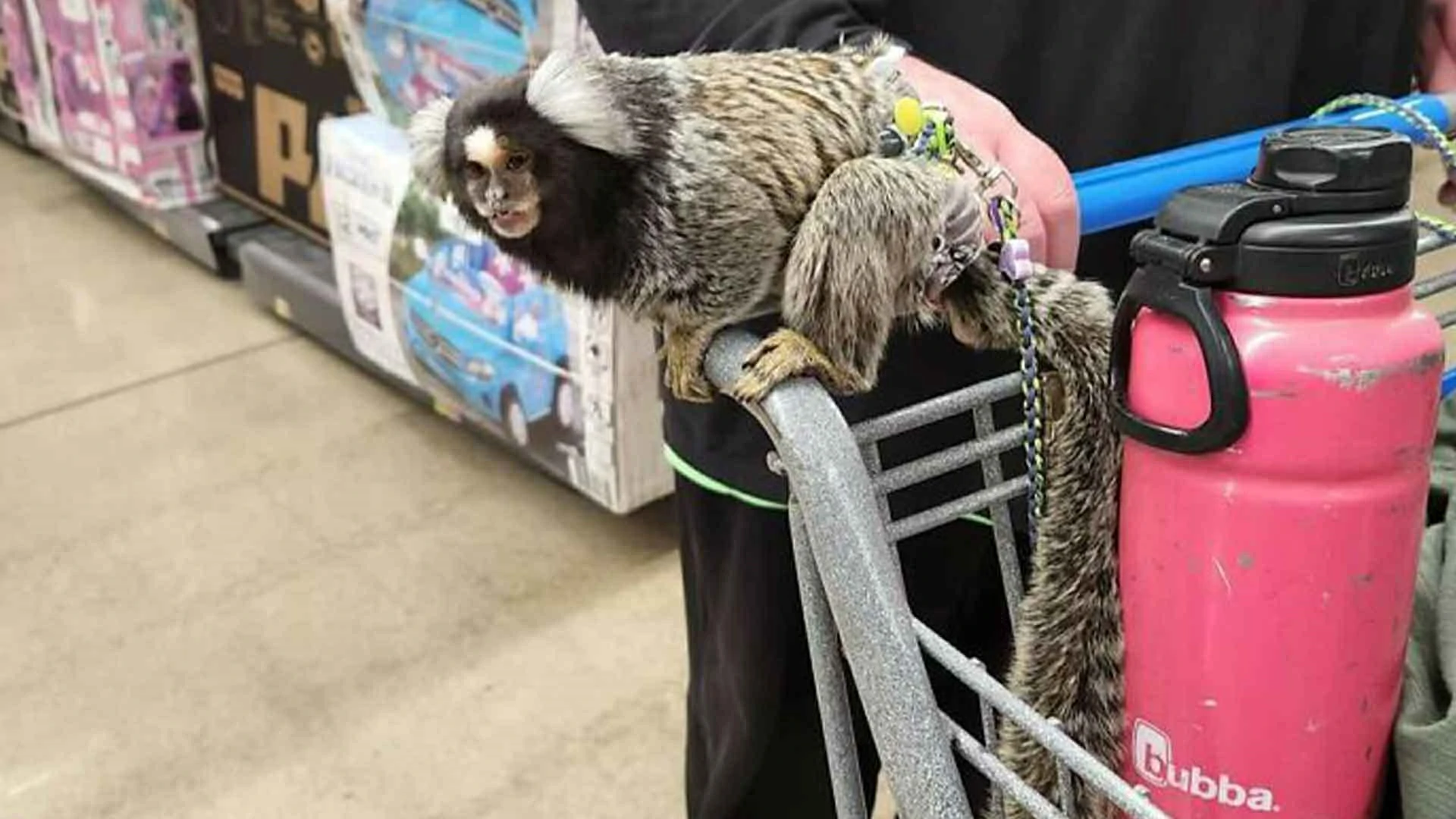 20 Walmart Encounters So Absurd You’d Think They Were Staged