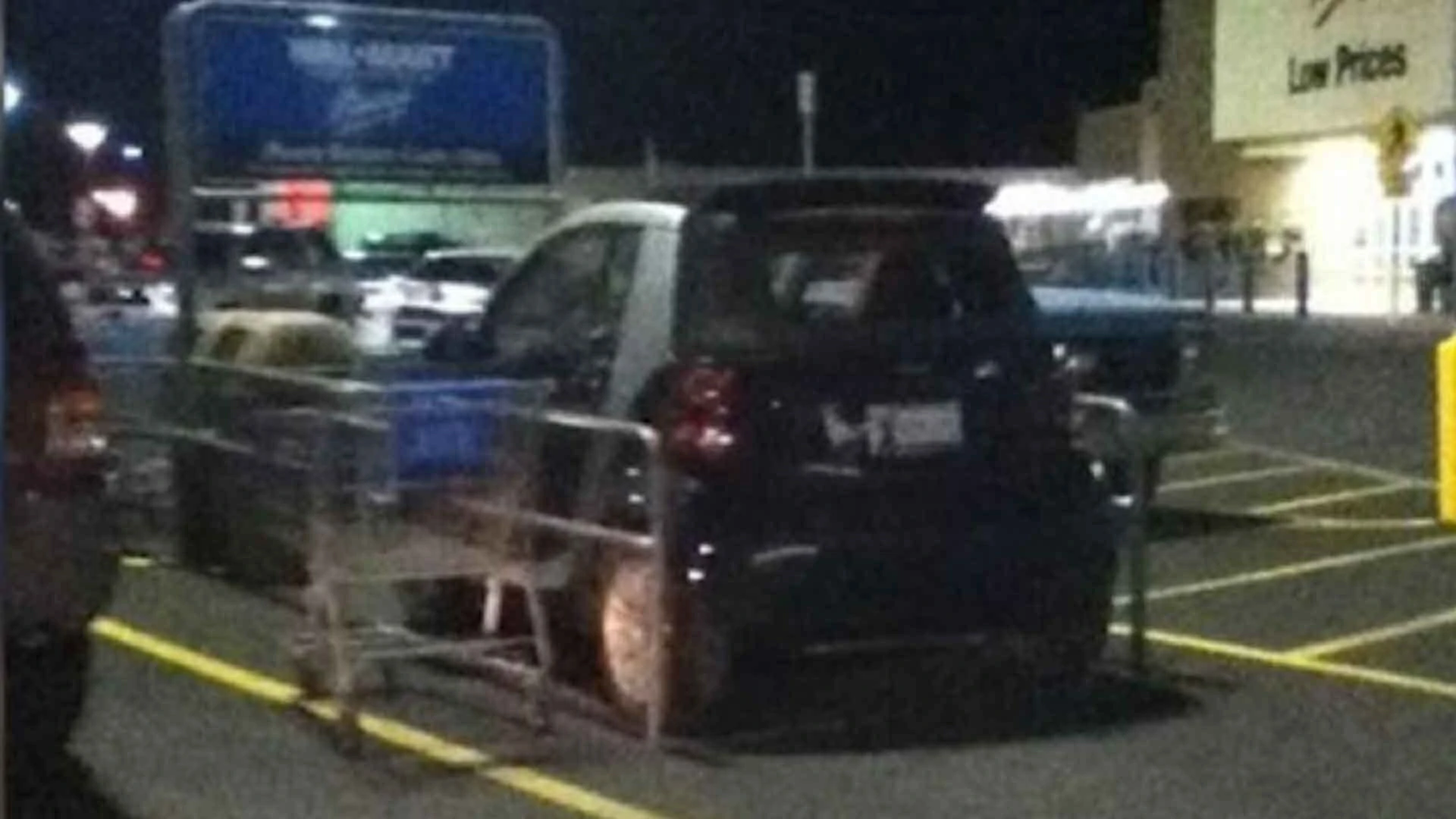 20 Walmart Encounters So Absurd You’d Think They Were Staged