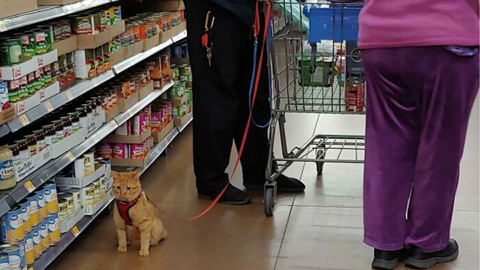 20 “Walmart People” Pics That Are As Funny As They Are Confusing