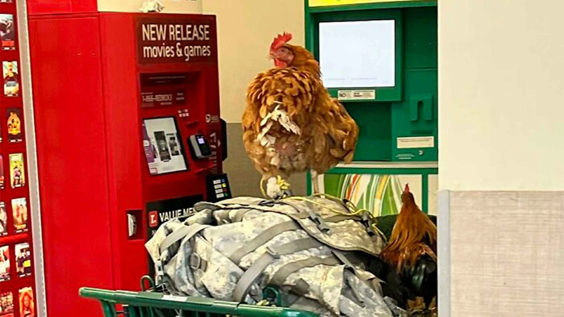 20 “Walmart People” Pics That Are As Funny As They Are Confusing