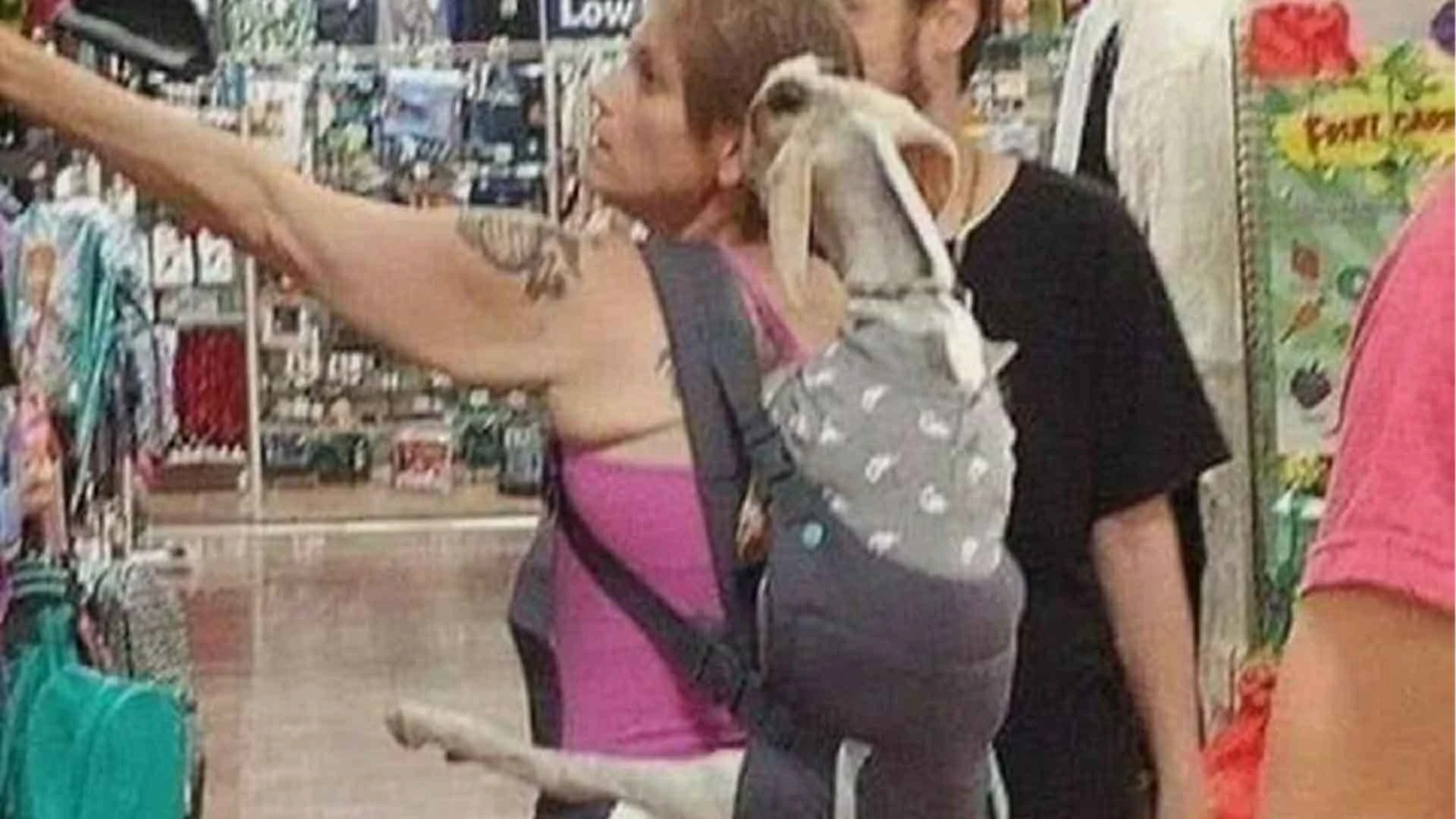 20 “Walmart People” Pics That Are As Funny As They Are Confusing