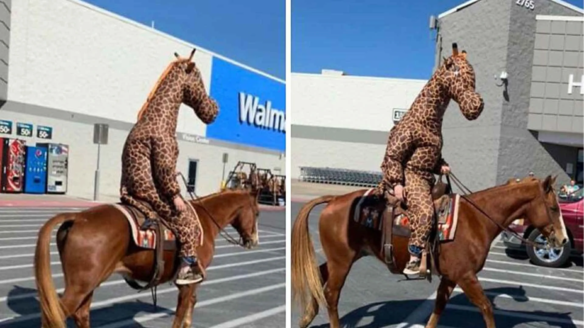 25 Pics People Just Had To Take At Walmart Or Else Nobody Would Believe What They Saw