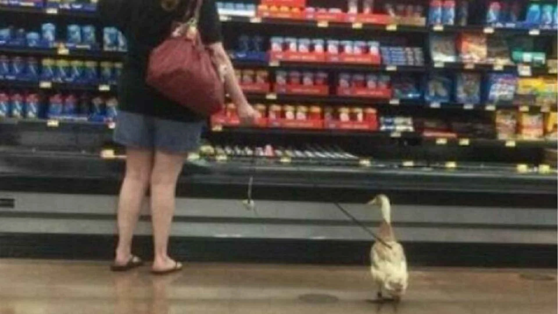 25 Pics People Just Had To Take At Walmart Or Else Nobody Would Believe What They Saw