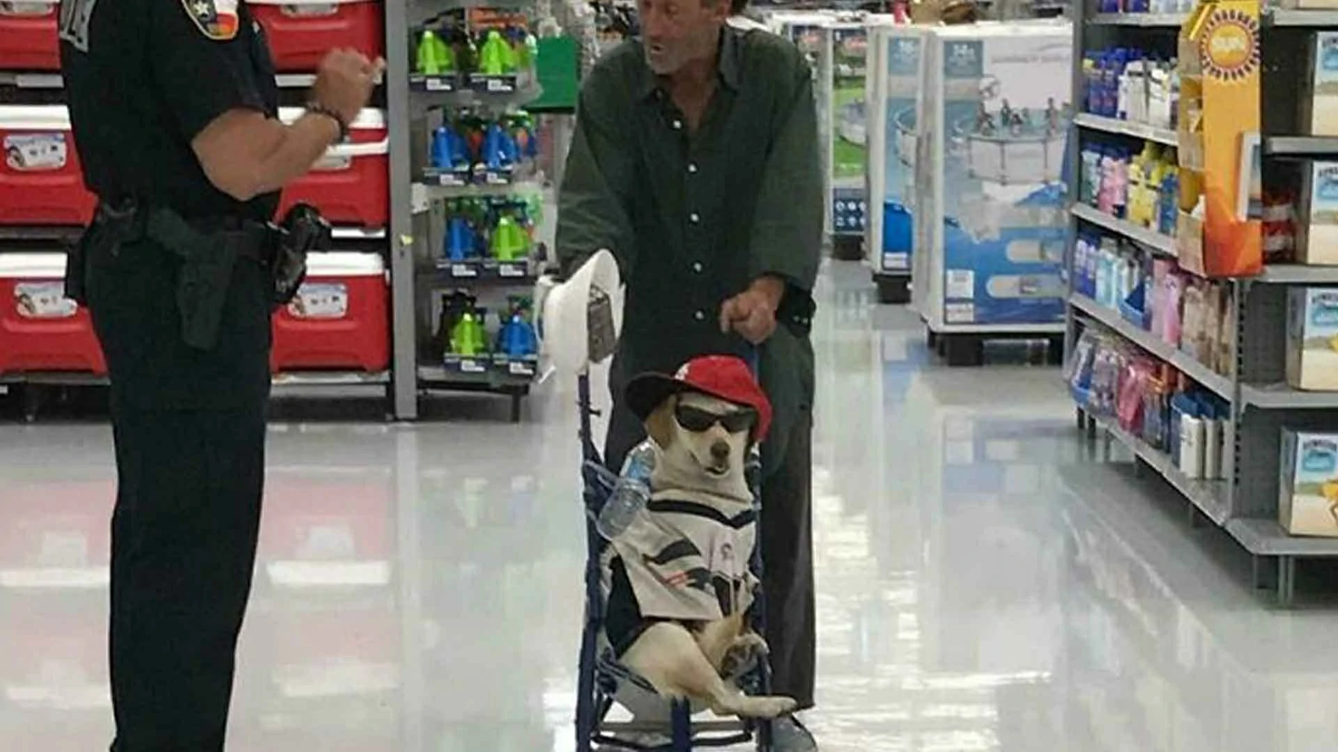 25 Pics People Just Had To Take At Walmart Or Else Nobody Would Believe What They Saw