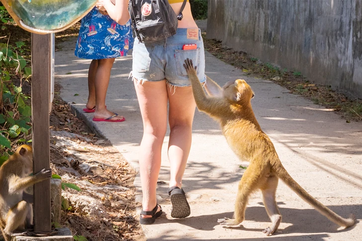39 photos de vacances étranges à voir absolument