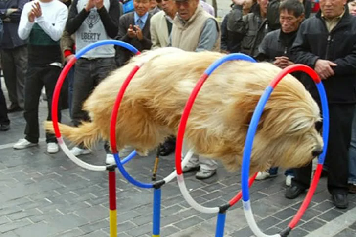 40 Breathtakingly Perfect Time-Lapse Photos