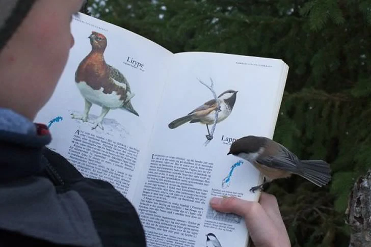 40 Breathtakingly Perfect Time-Lapse Photos