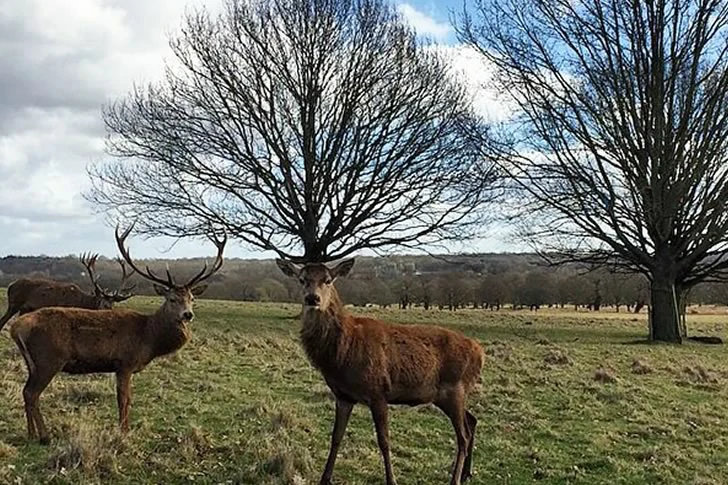 40 Breathtakingly Perfect Time-Lapse Photos