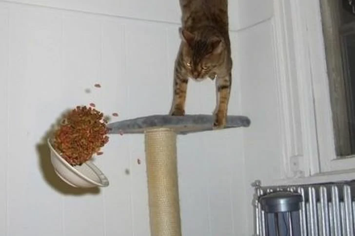 40 funny moments of failed photos