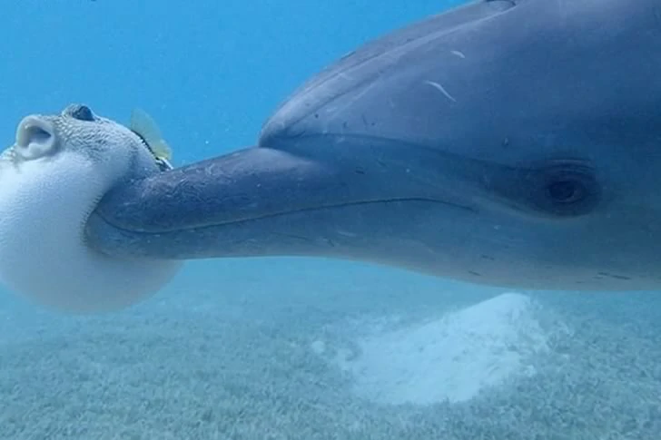 40 funny moments of failed photos