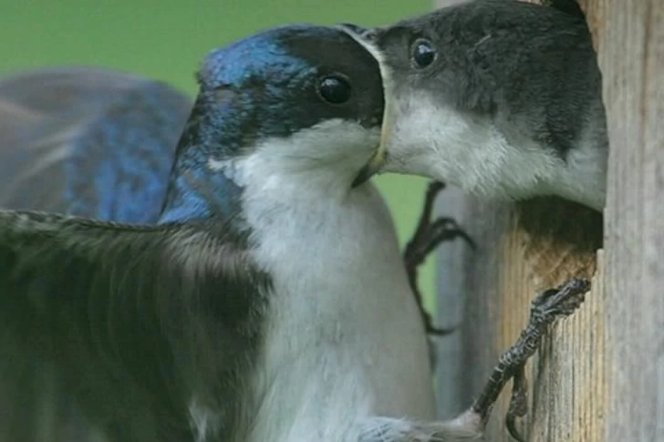 40 funny moments of failed photos