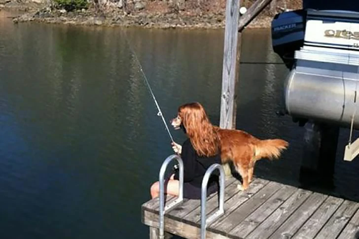 40 funny moments of failed photos