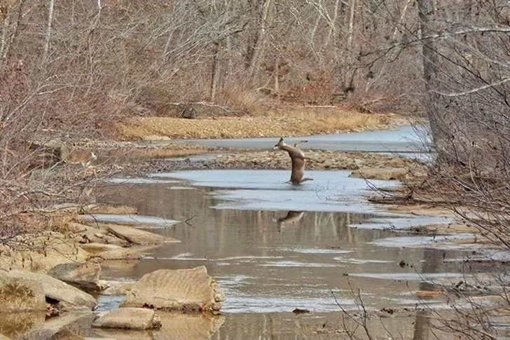 40 funny moments of failed photos