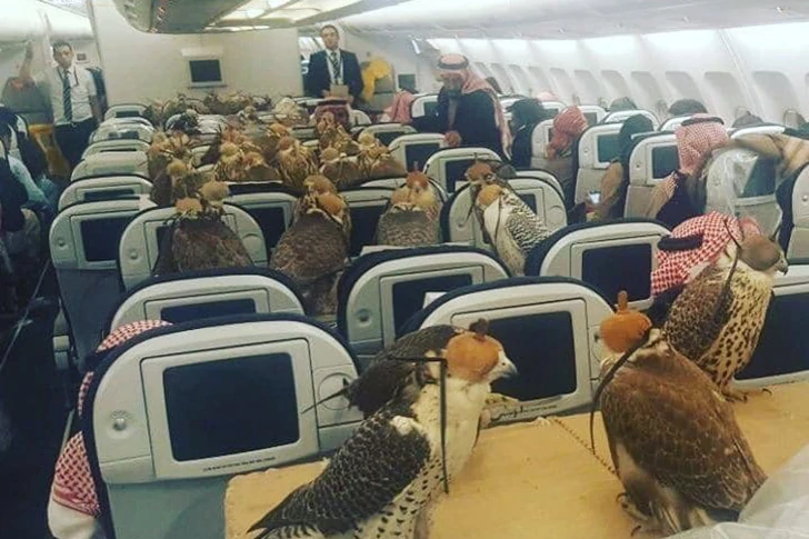 42 Unusual Airport Photos