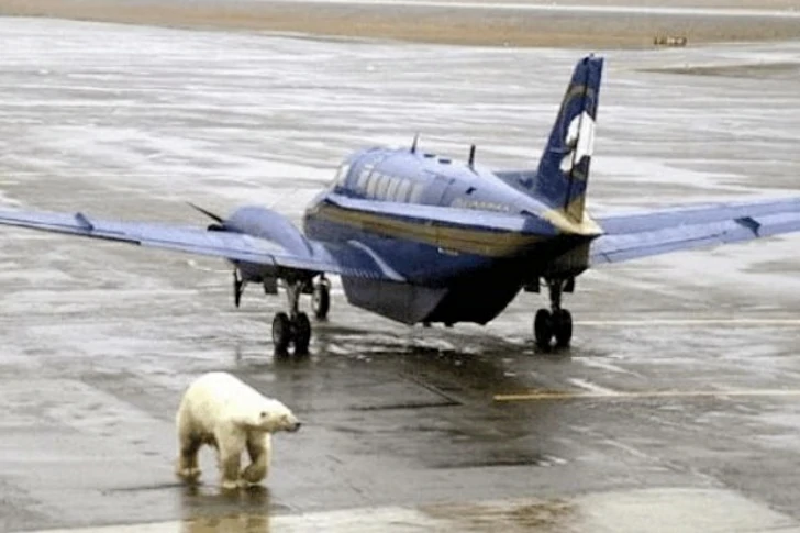 42 Unusual Airport Photos