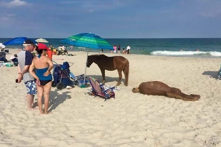 Beautiful photos of tourists enjoying a beach vacation.