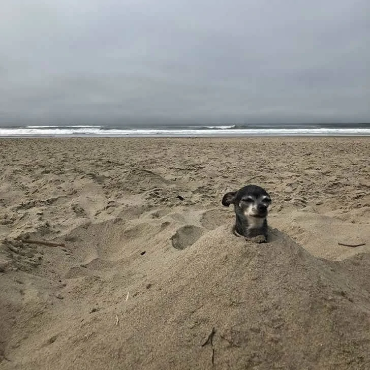 Beautiful photos of tourists enjoying a beach vacation.