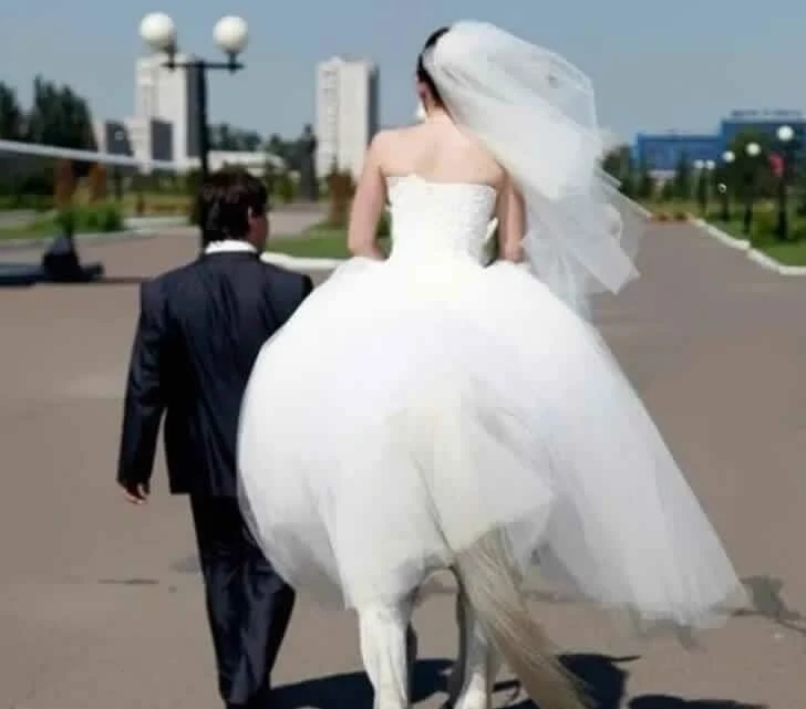Des photos de mariage amusantes font que les gens se sentent désolés pour les mariés
