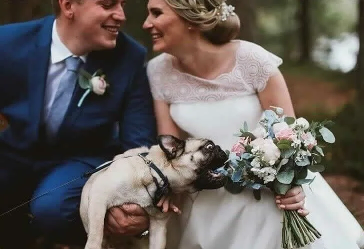 Funny wedding photos make people feel sorry for the bride and groom