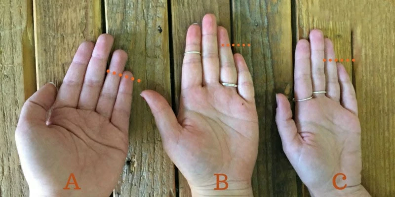 How long are your pinky and ring fingers? Finger longth reveal your personality