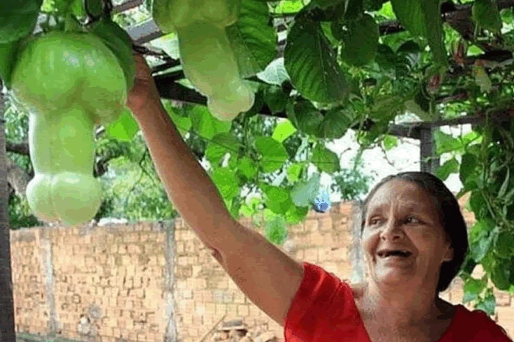 Holiday photos that make you smile