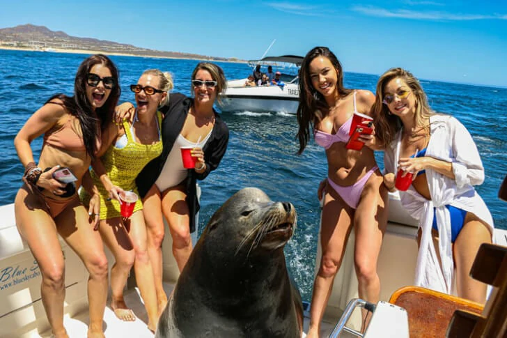 Must-see popular boating moments