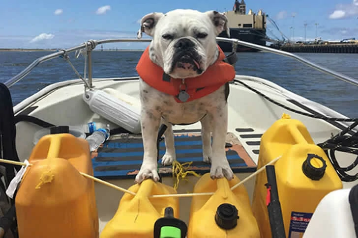 Must-see popular boating moments