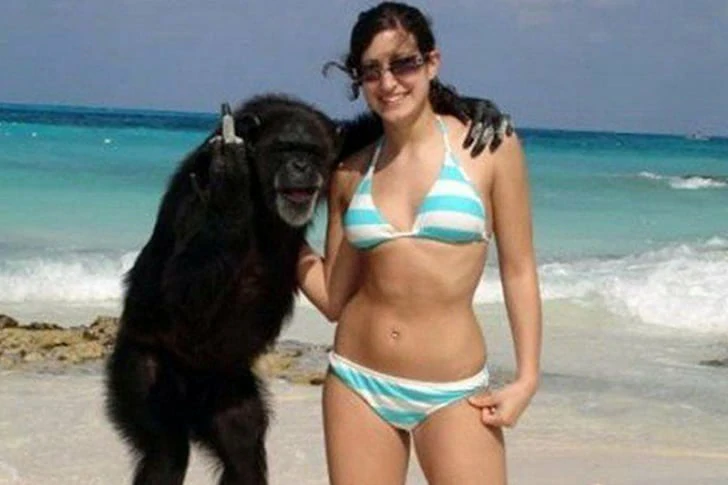 You'd never guess these photos were taken on the beach
