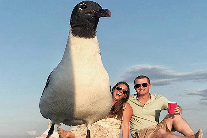 You'd never guess these photos were taken on the beach