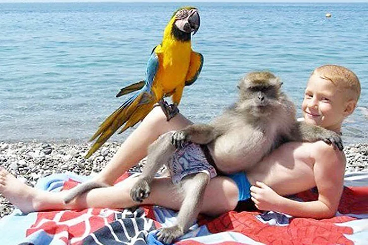 You'd never guess these photos were taken on the beach
