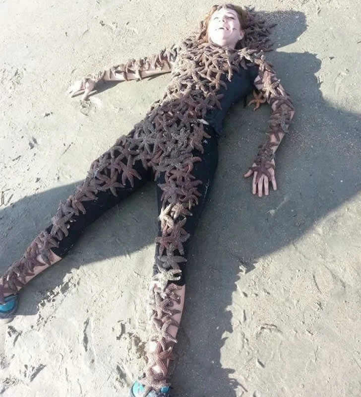 これらのビーチの写真を見れば、きっと大声で笑ってしまうでしょう。